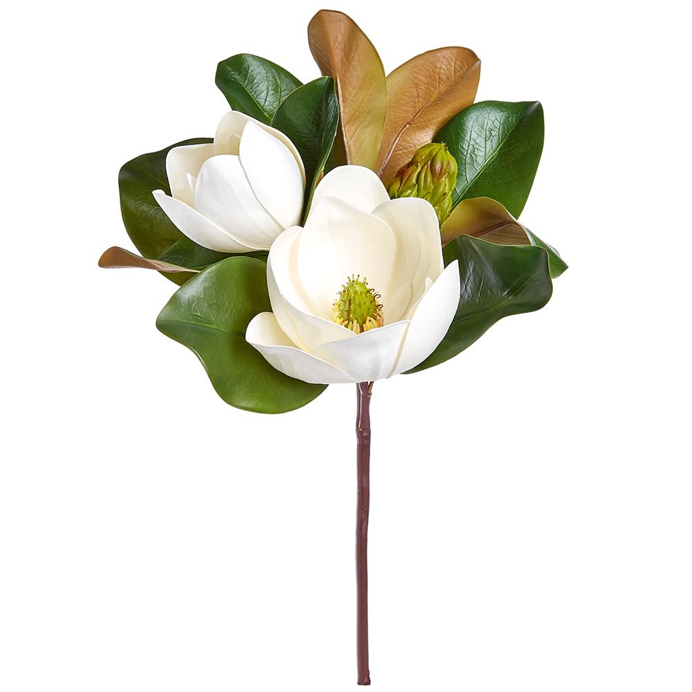 Pick Magnolia
