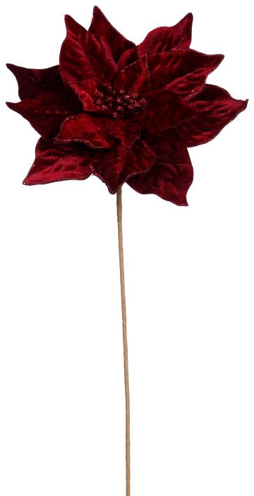 Nochebuena Velvet 20"