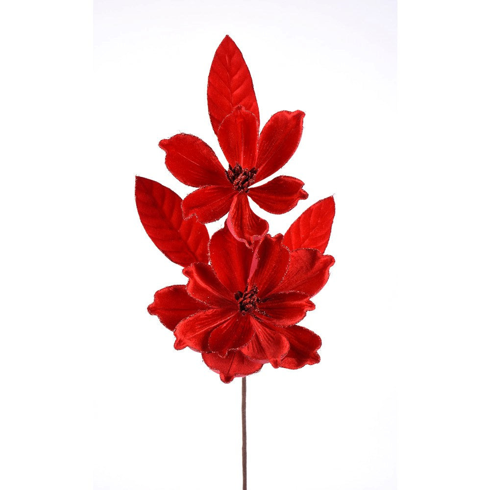 Magnolia Roja X2