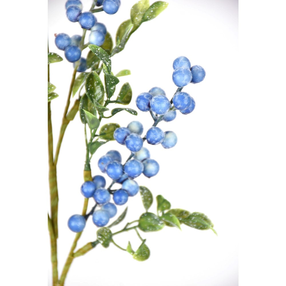 Bayas Azules en rama