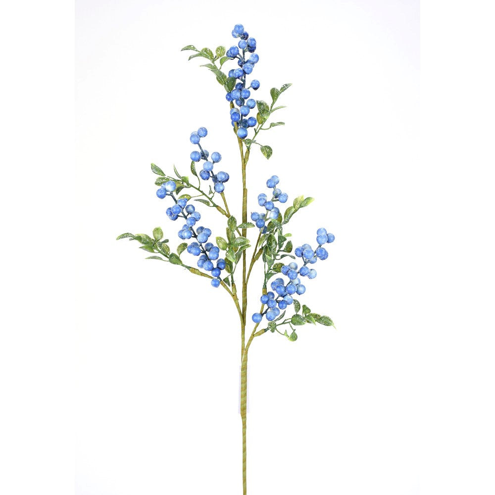Bayas Azules en rama