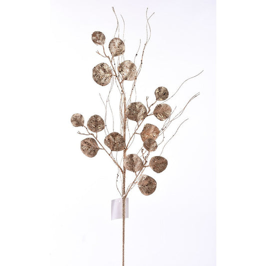 Eucalipto Champagne 29"