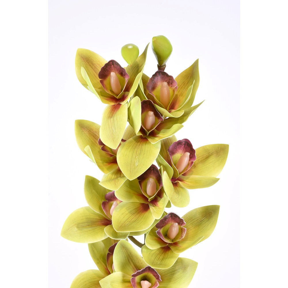 Vara Cymbidium Verde