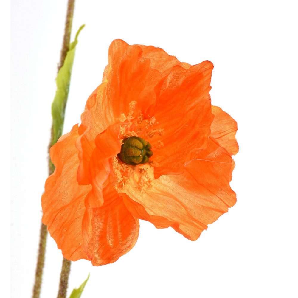 Amapola Naranja