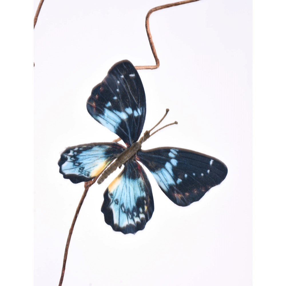 Mariposas Azules en Vara