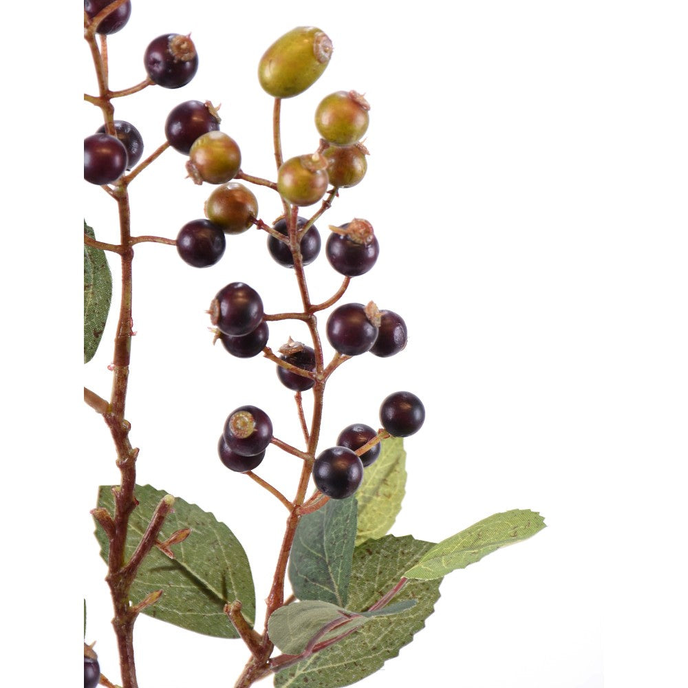 Rama de Bayas Moradas