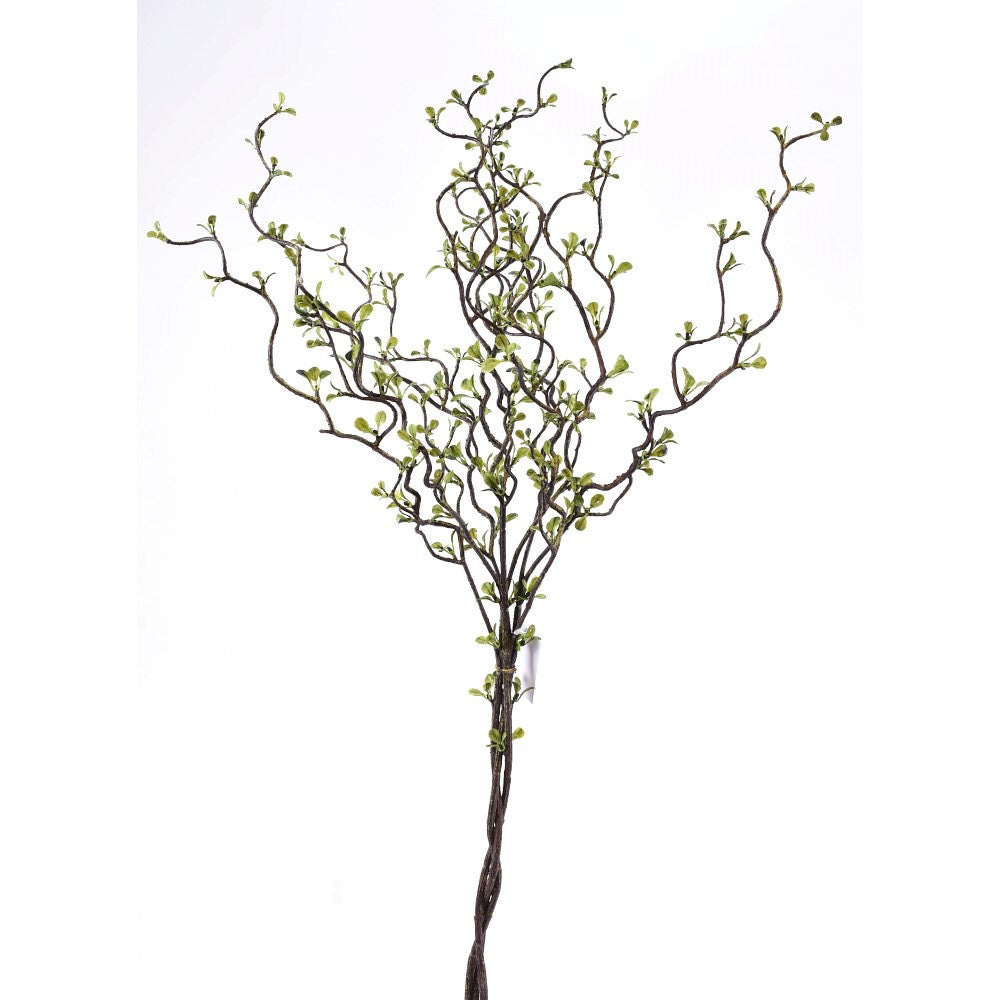 Vara Curly 35"