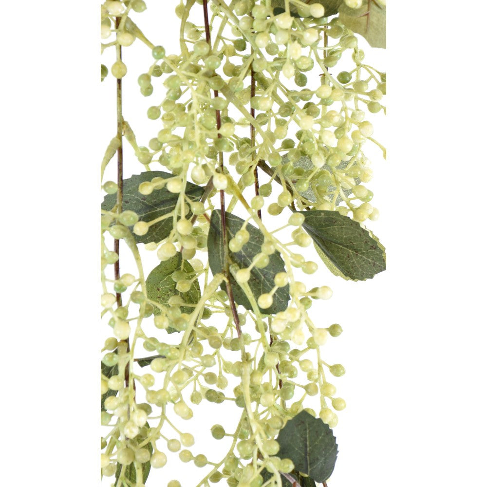 Arbusto de Bayas Verdes