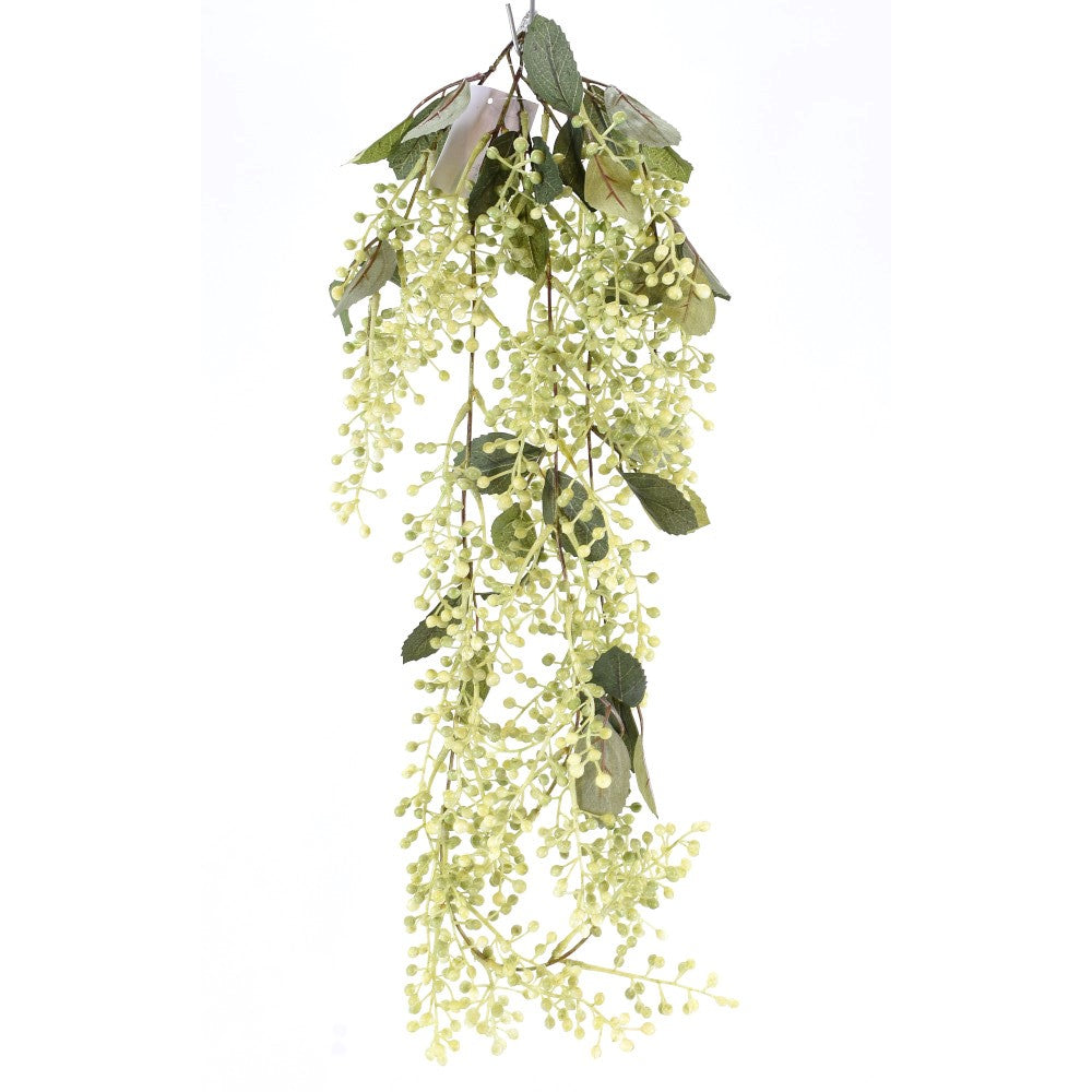 Arbusto de Bayas Verdes