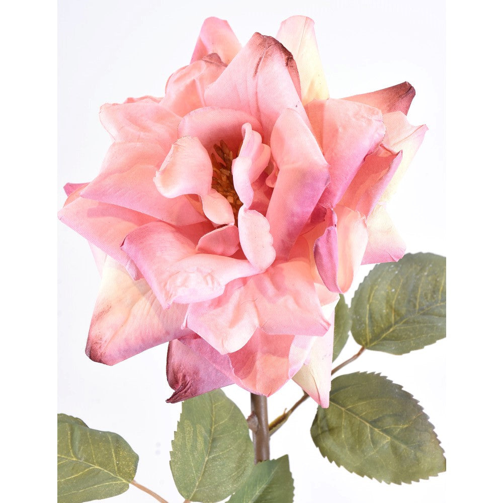 Rosa Rosa Abierta 22"