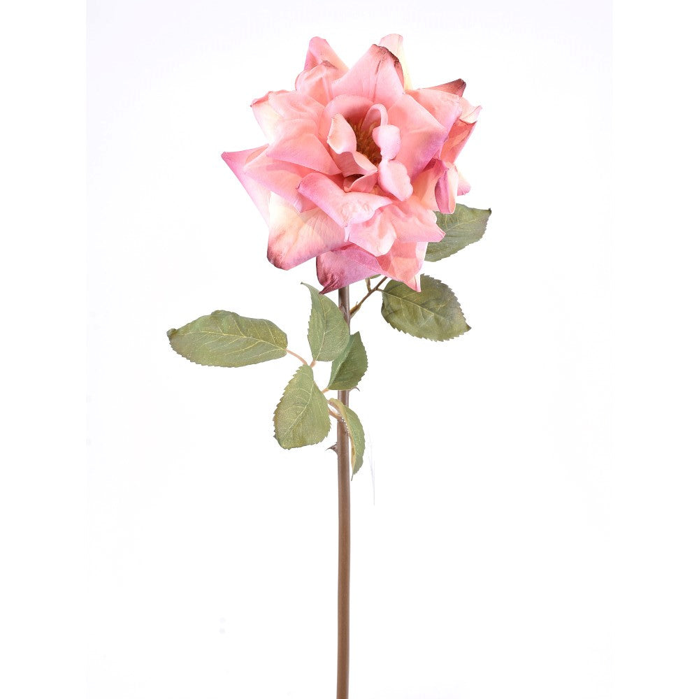 Rosa Rosa Abierta 22"