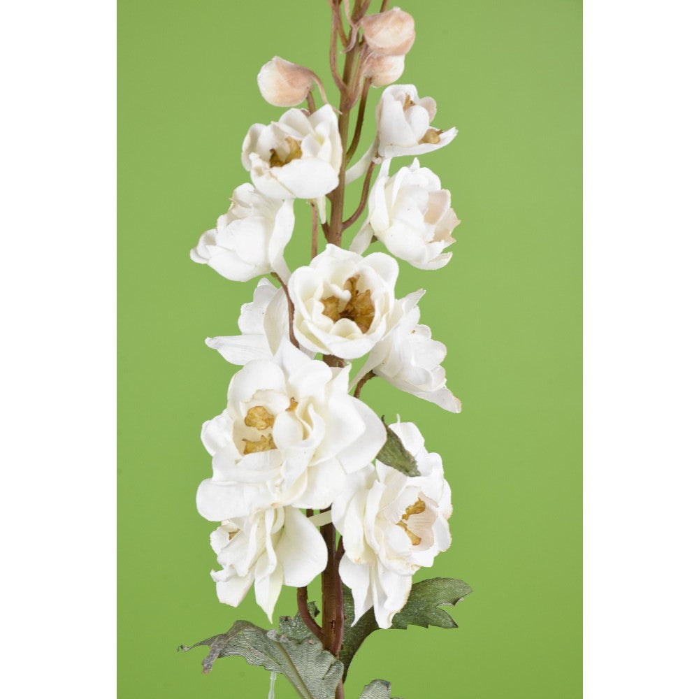 Delphinium Blanco 27"