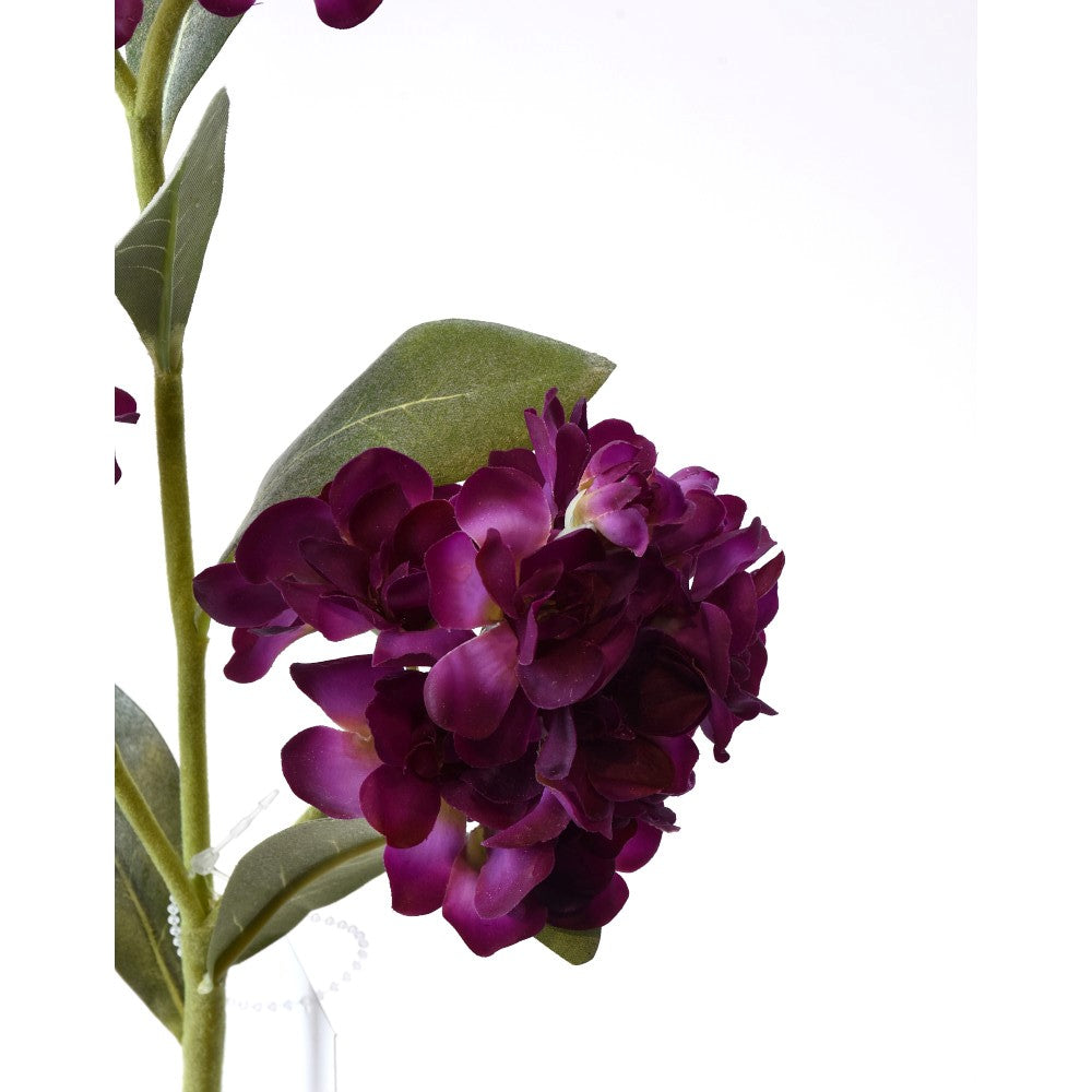 Alhelí Morado Real Touch