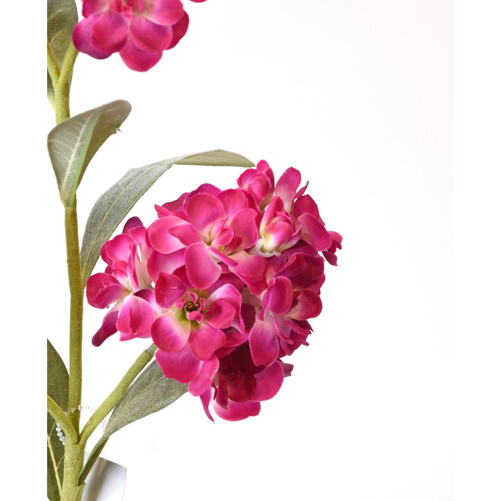 Alhelí Rosa Real Touch