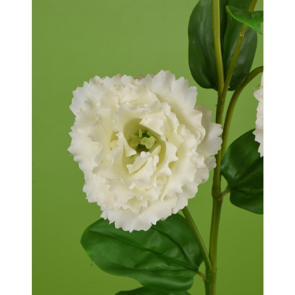 Lisianthus Blanco Real Touch