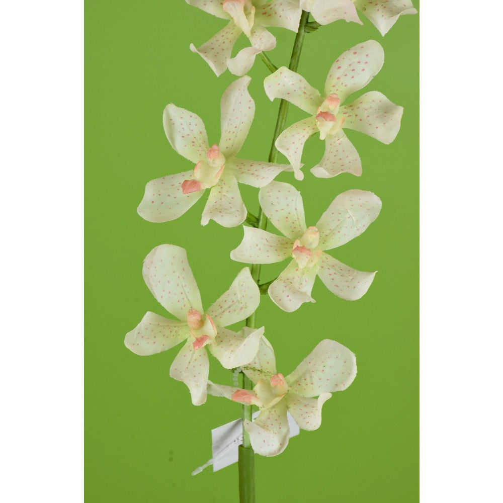 Orquídea Vanda Blanca 24"