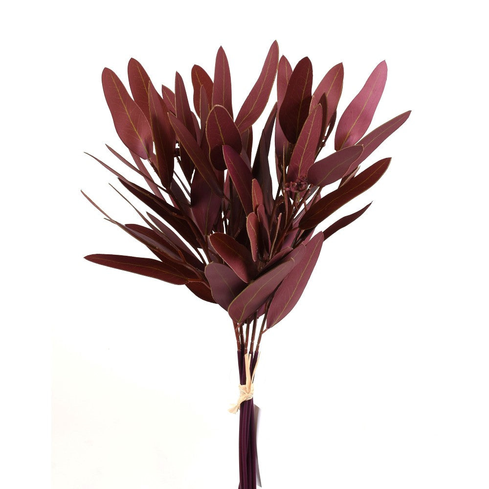 Rama Eucalipto 15"