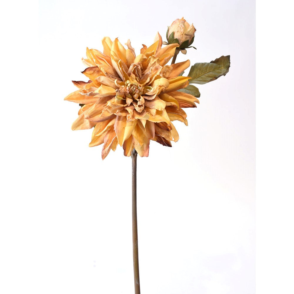 Dhalia Seca Amarilla