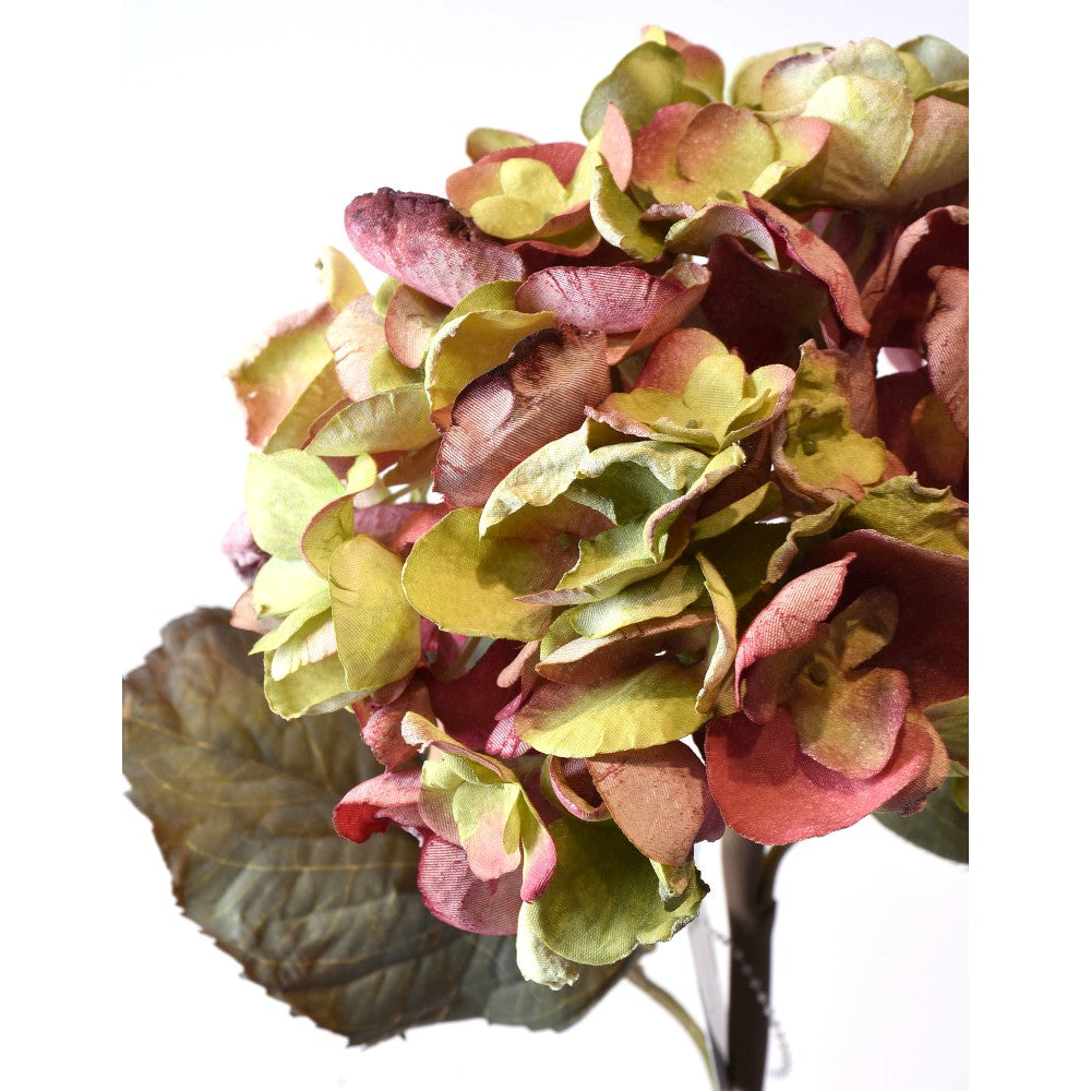 Hortensia Seca Rojo/verde