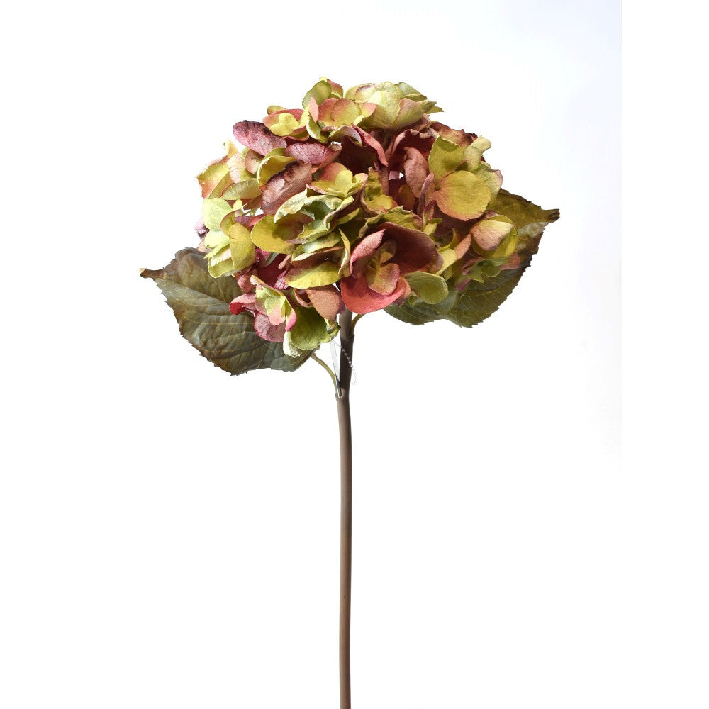 Hortensia Seca Rojo/verde