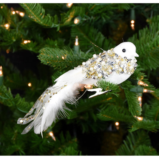 Pajarito Aplicaciones