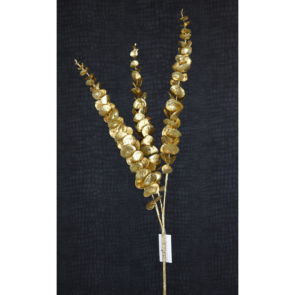 Eucalipto Dorado Fino