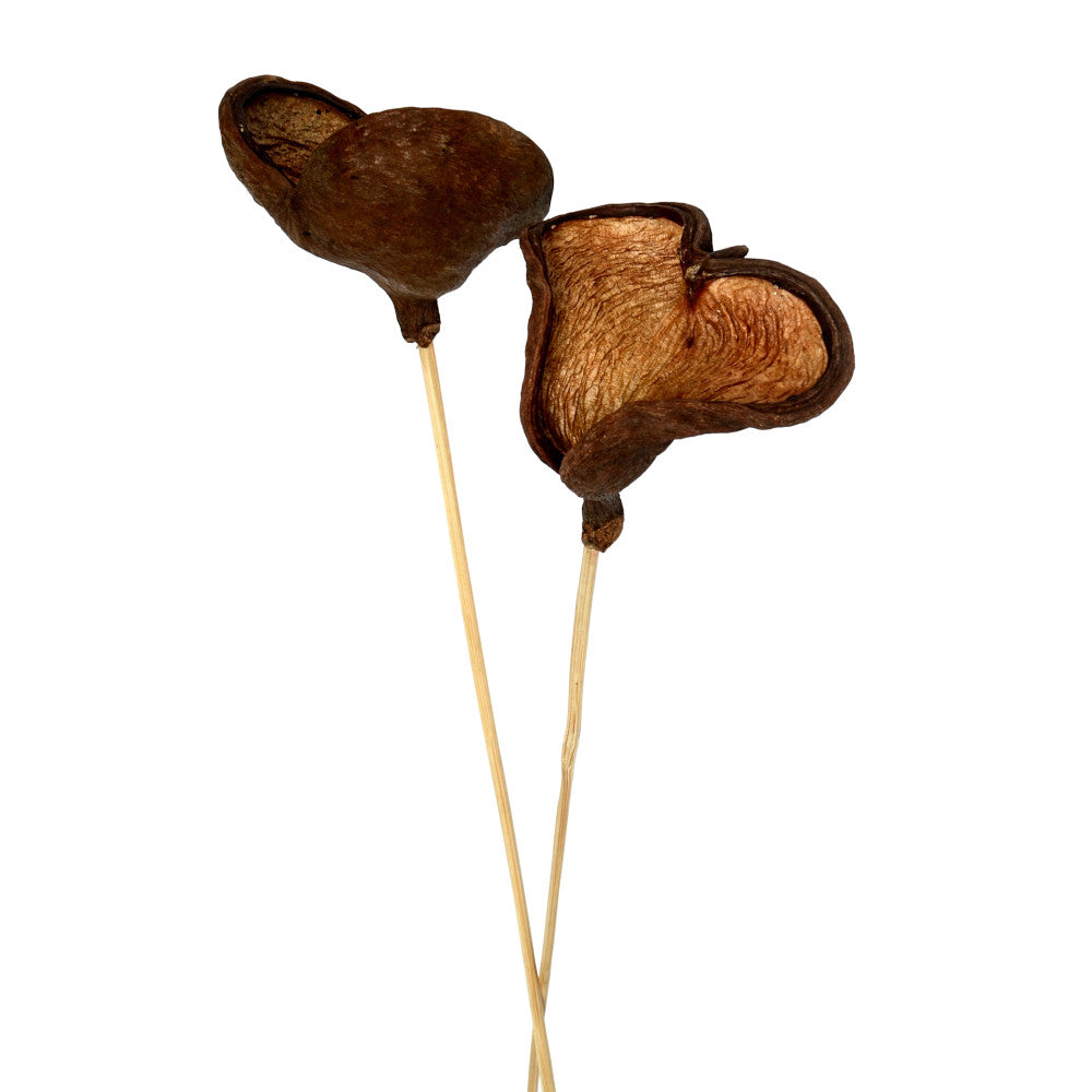 Pick Hongo 22" Pieza