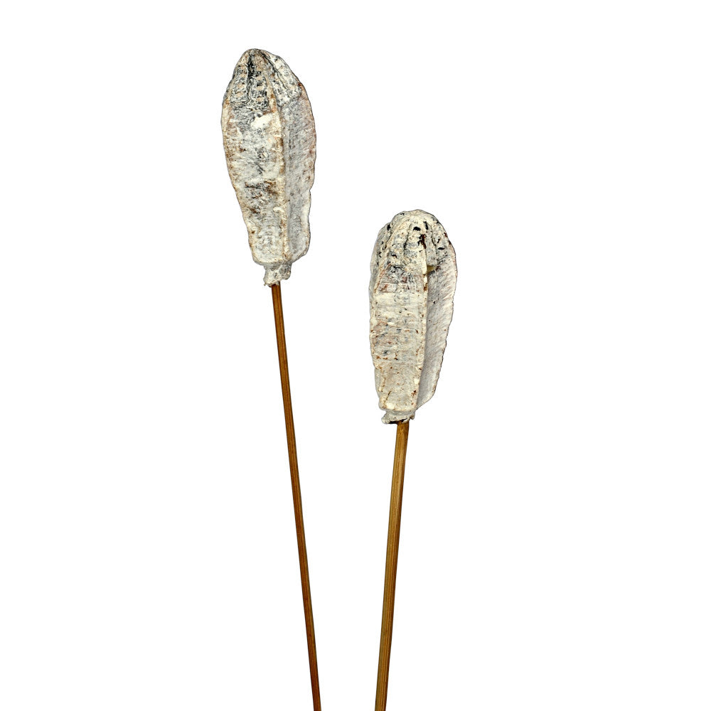 Capullo Pick 22" Pieza