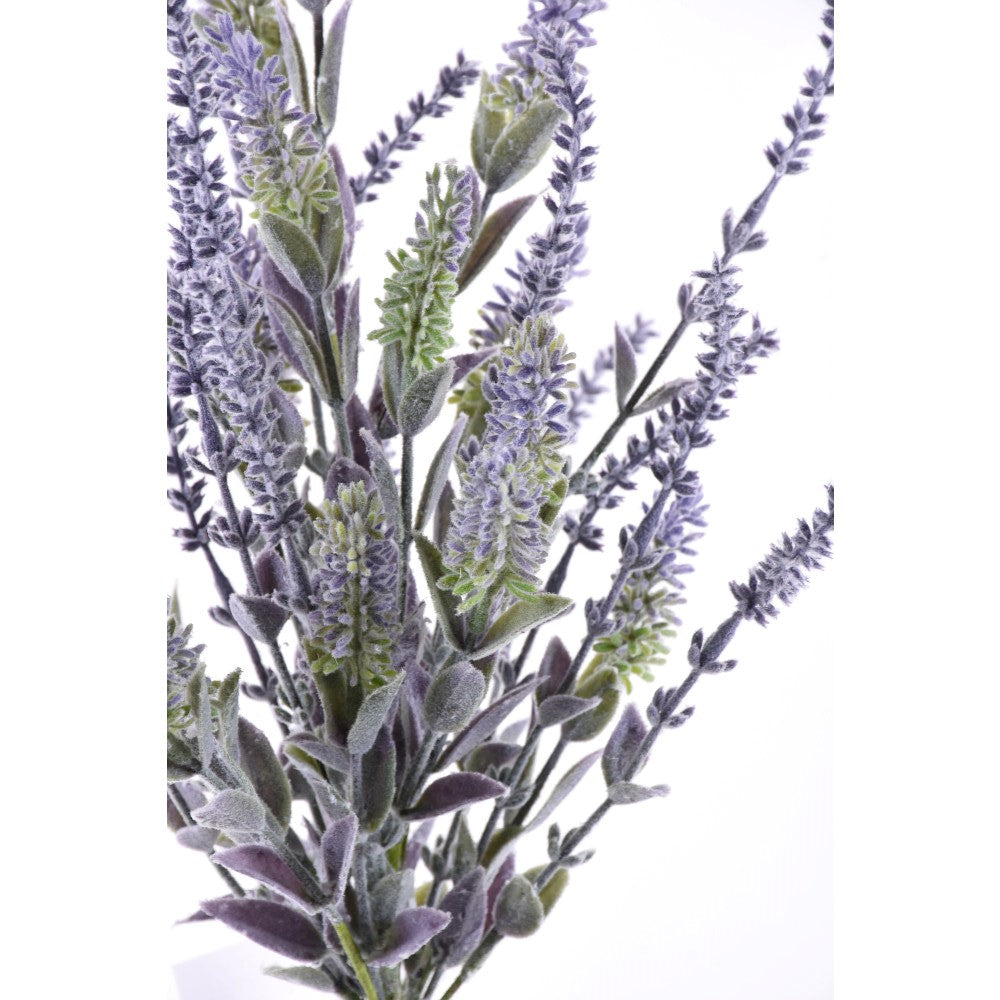 Arbusto Lavanda 22"