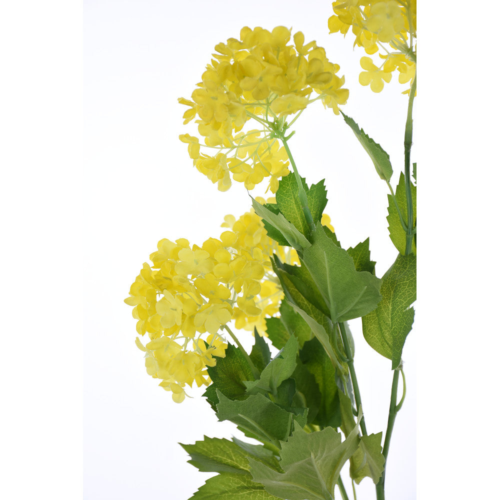 Varas Pompones Amarillos