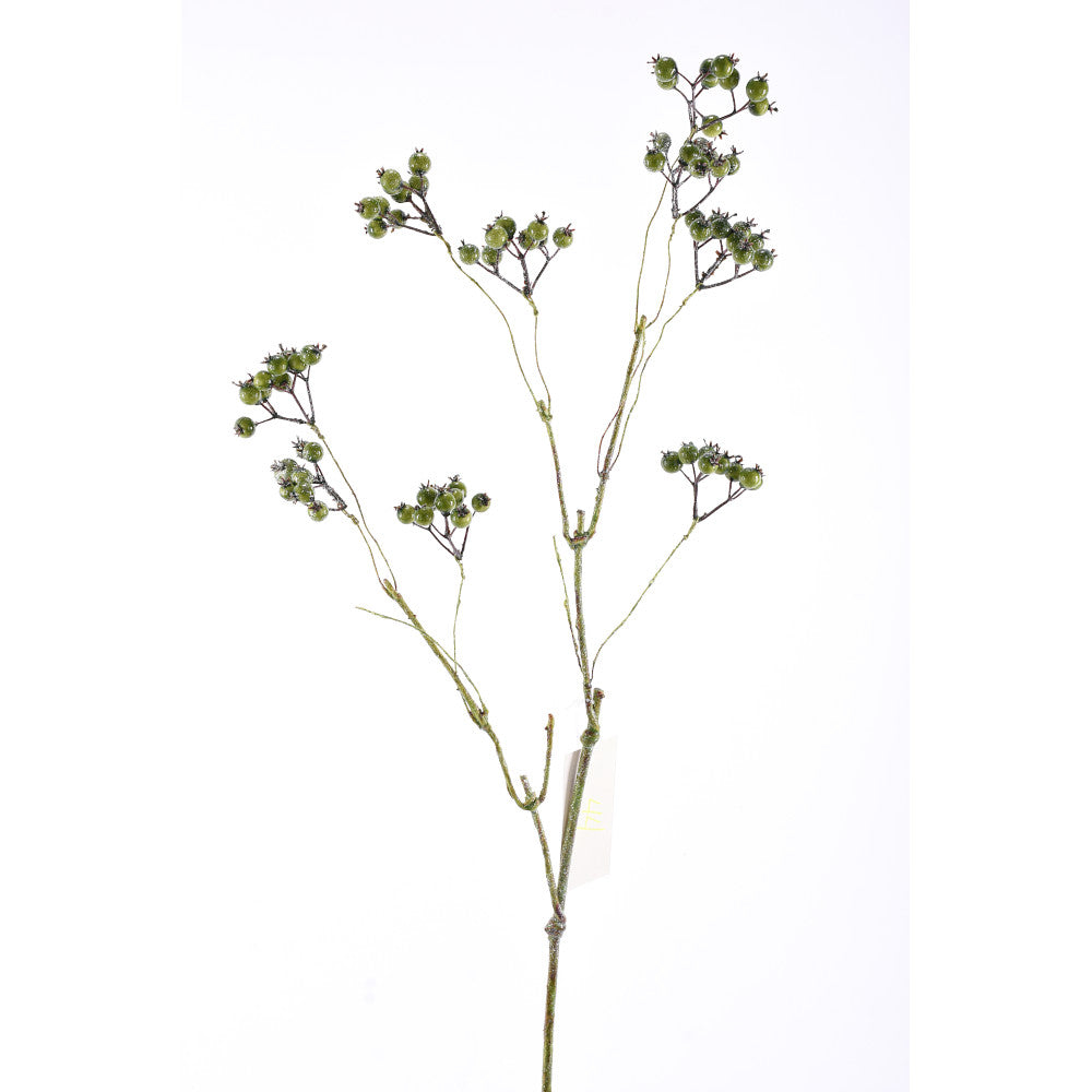 Vara Berry Verde
