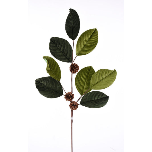 Hojas Terciopelo Verde