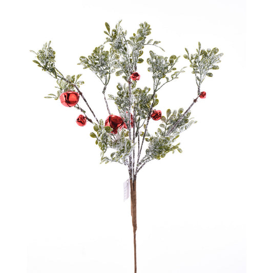 Rama Pino c/ Cascabel Rojo