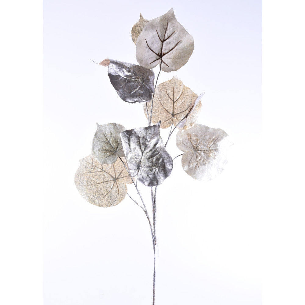 Vara Eucalipto Platinum