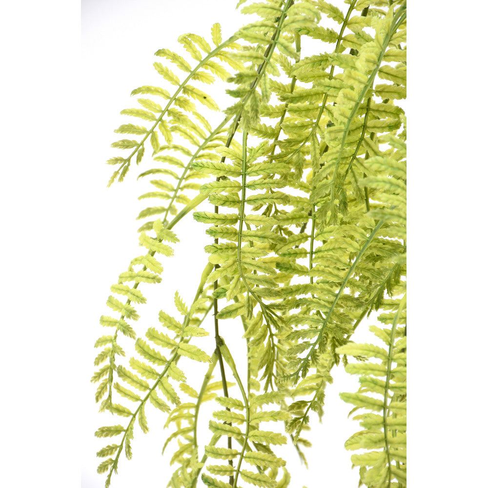 Helecho Colgante 34"