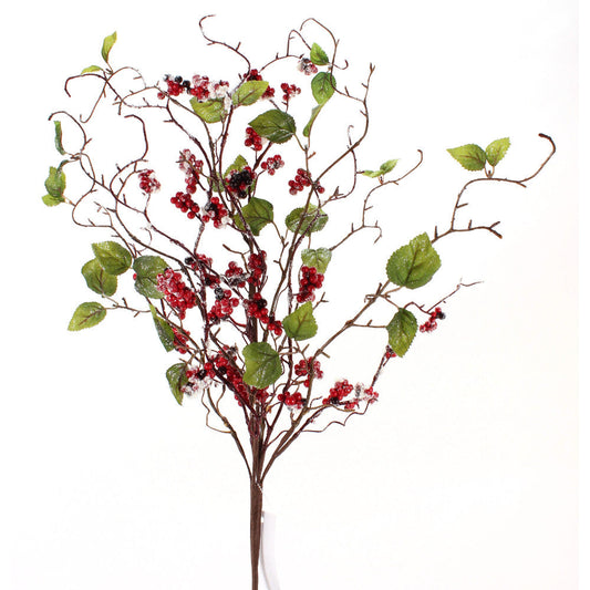 Rama Escarchada Hojas y Berries