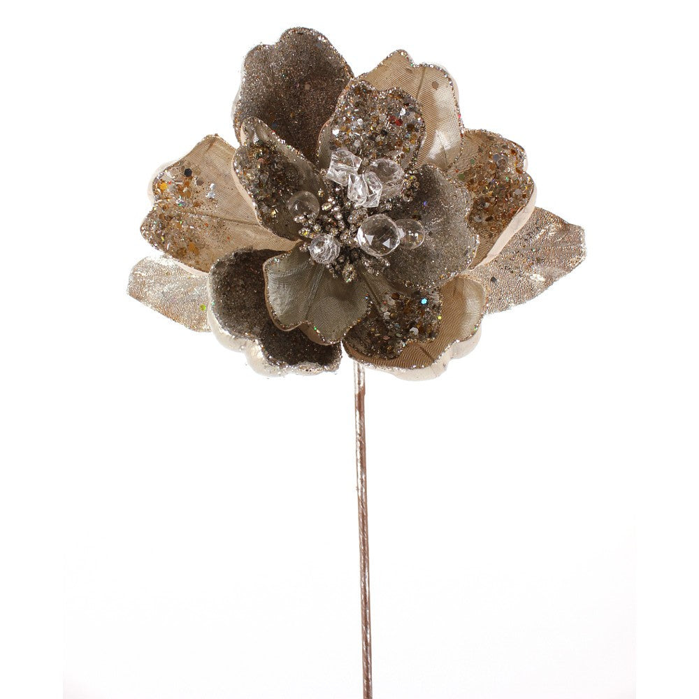 Magnolia con Aplicaciones