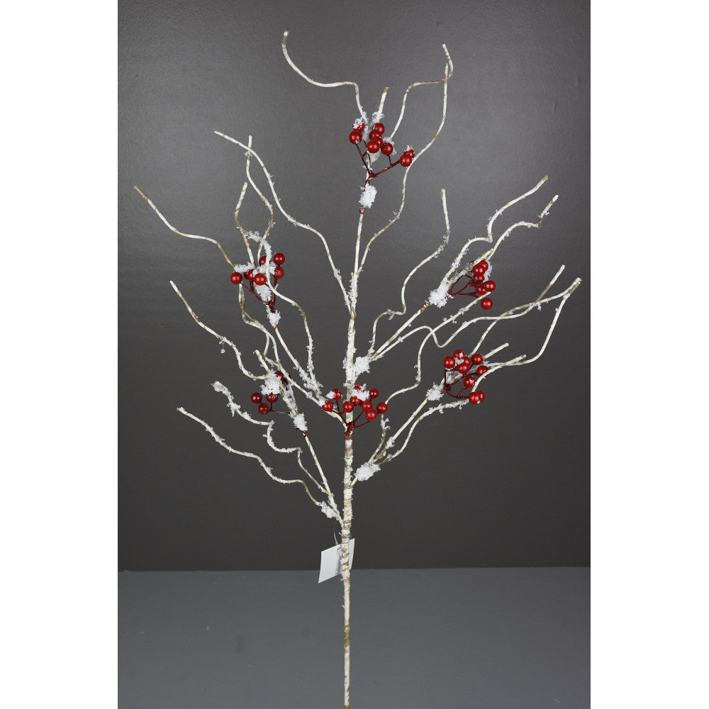 Rama Troncos Nevados con Berry
