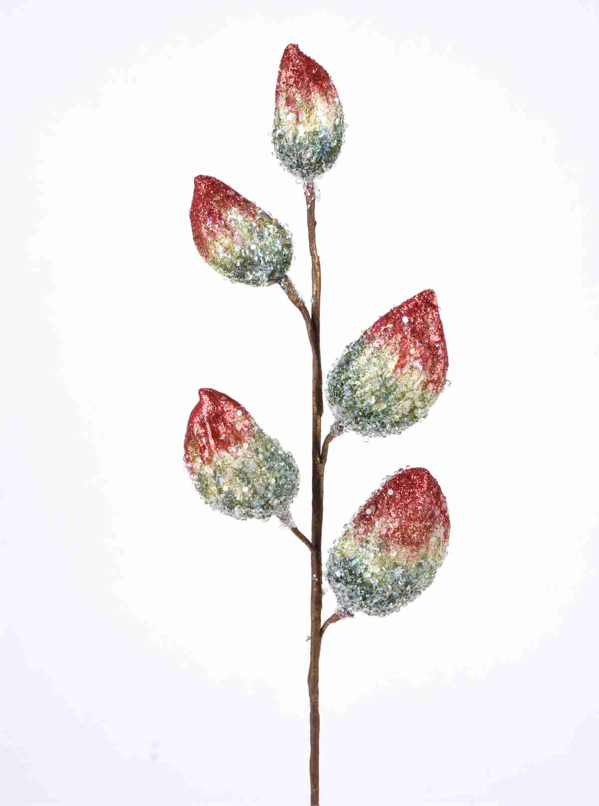 RAMA MIDWINTER POD