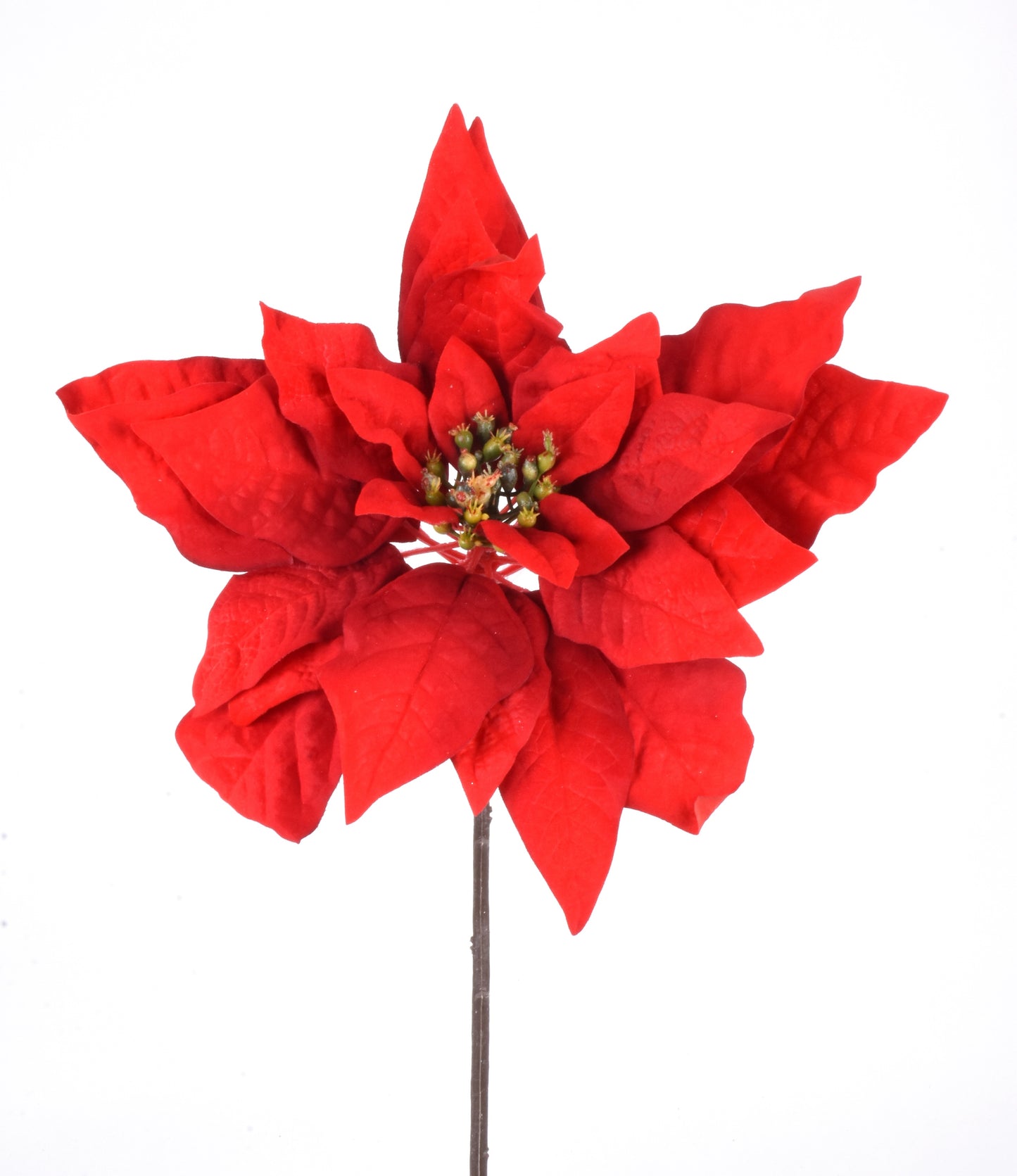 FLOR DE NOCHE BUENA ROJA