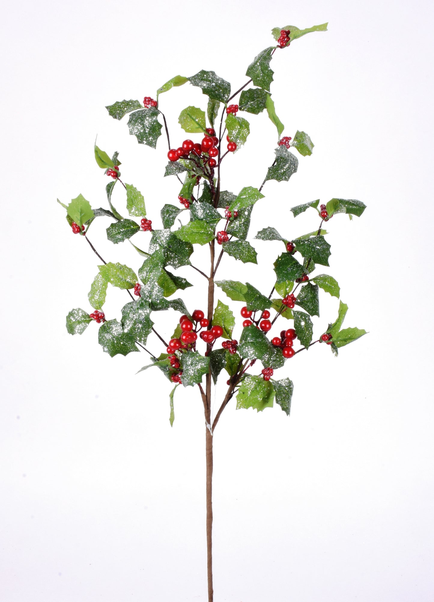 Rama Iced Holly