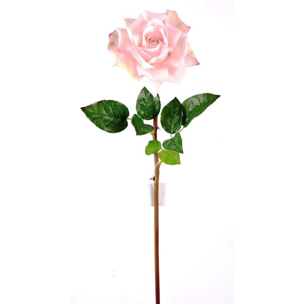 Rosa Rosa Fresh Touch