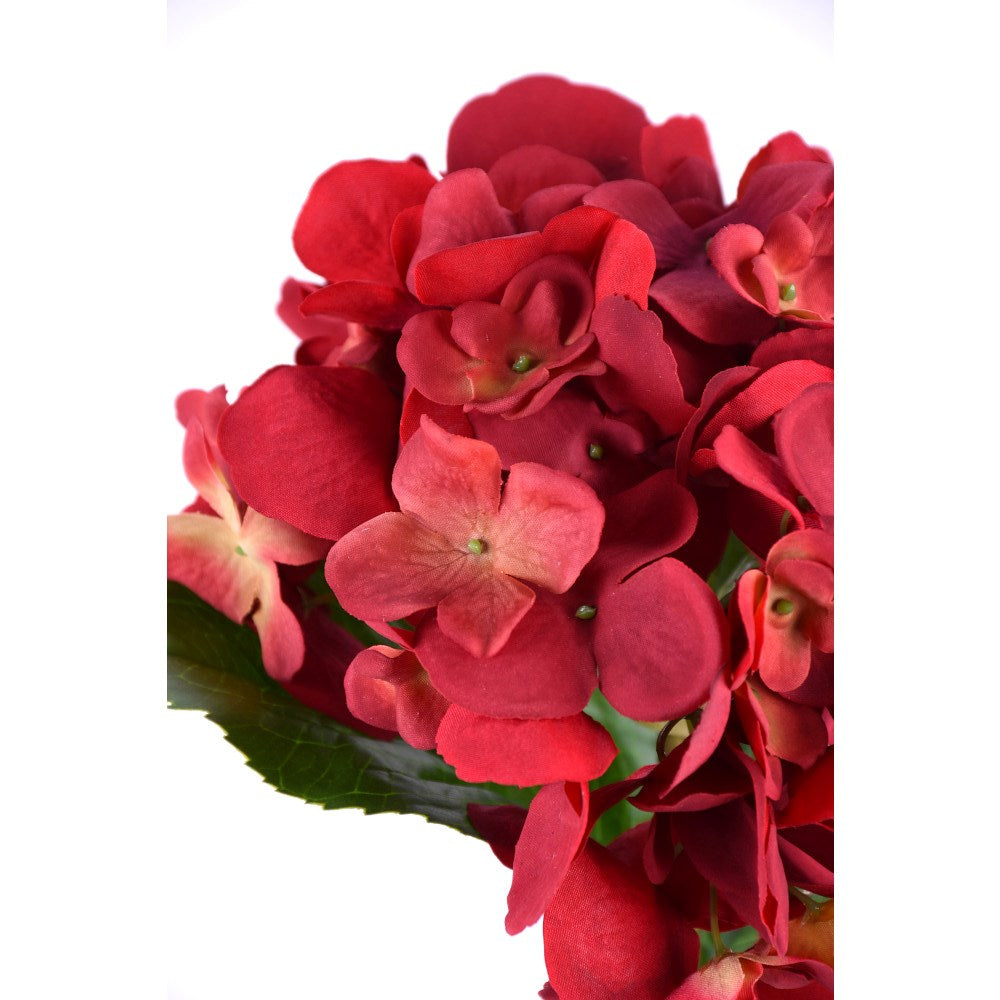 Hortensia Roja Fresh Touch