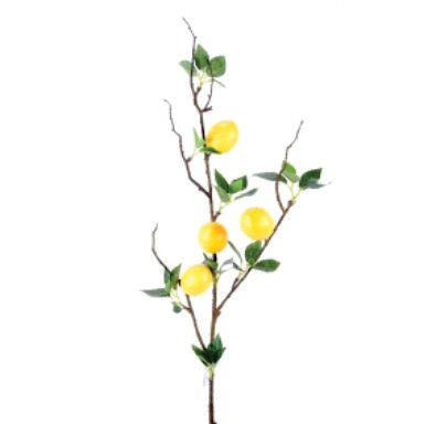 LEMON BRANCH