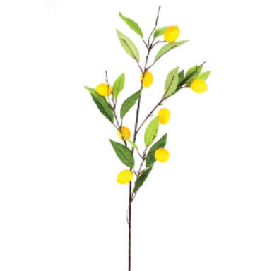 Rama árbol de limón