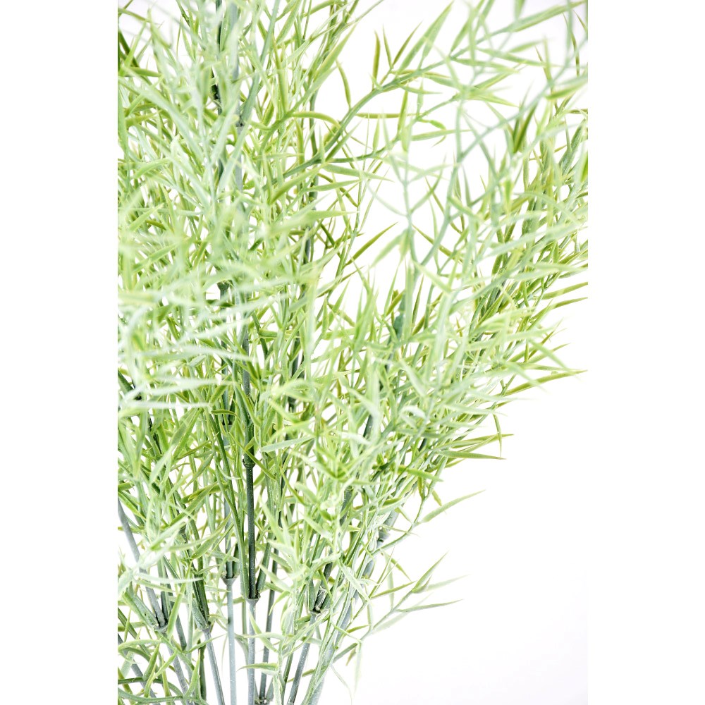 Arbusto Dusty Green