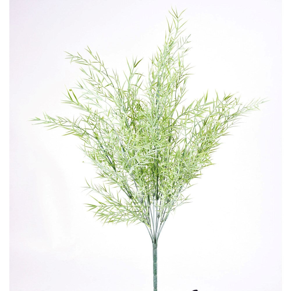 Arbusto Dusty Green