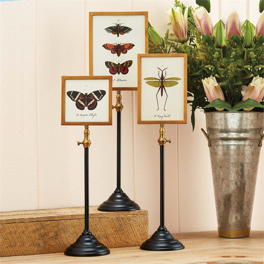Cuadros de mariposas en pedestal (set de 3)