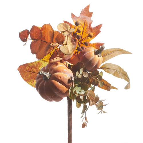 Rama Otoño Calabaza