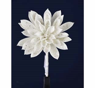 Rama Suculenta Blanca